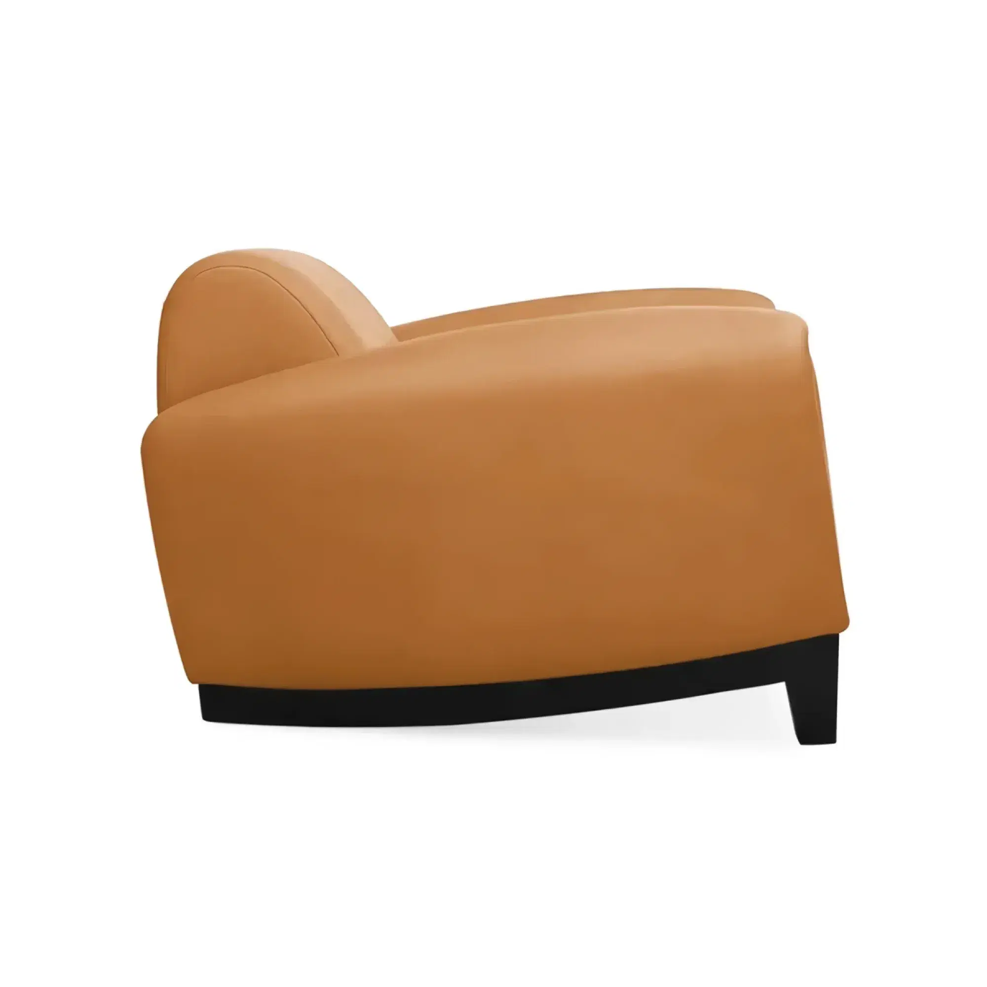 DS-57 Armchair Replica - View 4