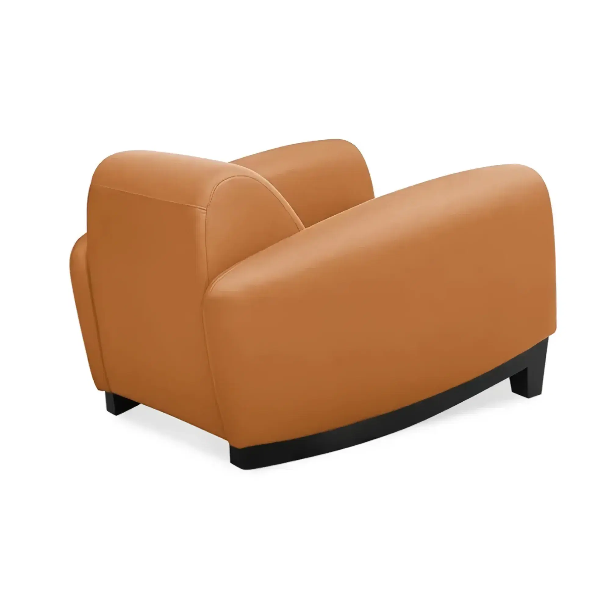 DS-57 Armchair Replica - View 6