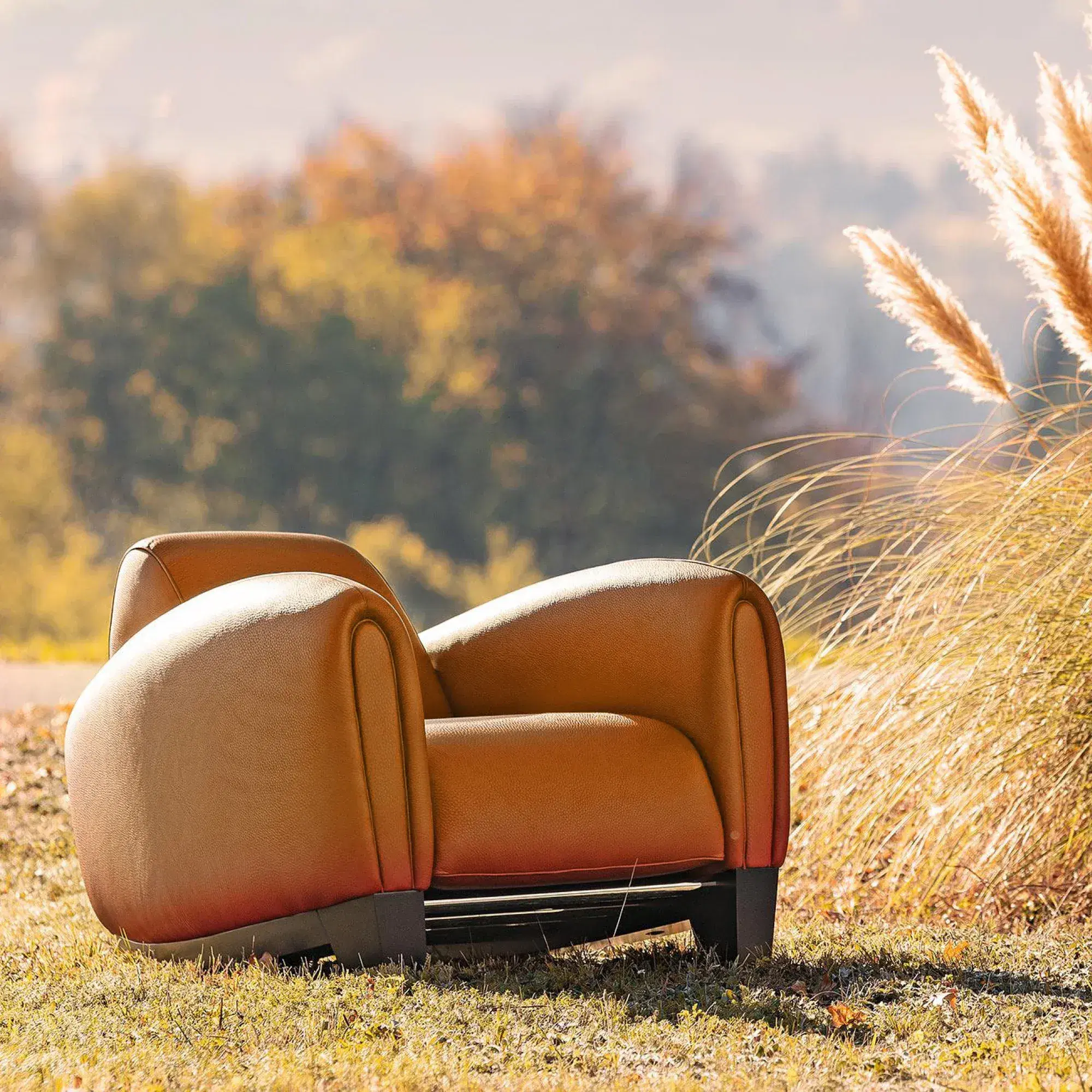 DS-57 Armchair Replica - View 9