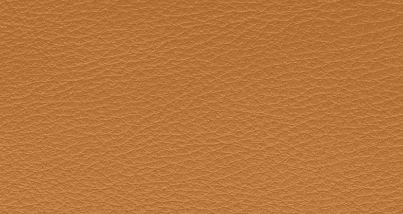 Aniline Leather - Camel